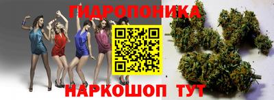 прущие грибы Ачхой-Мартан