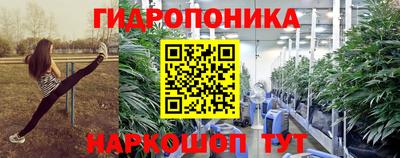 прущие грибы Ачхой-Мартан
