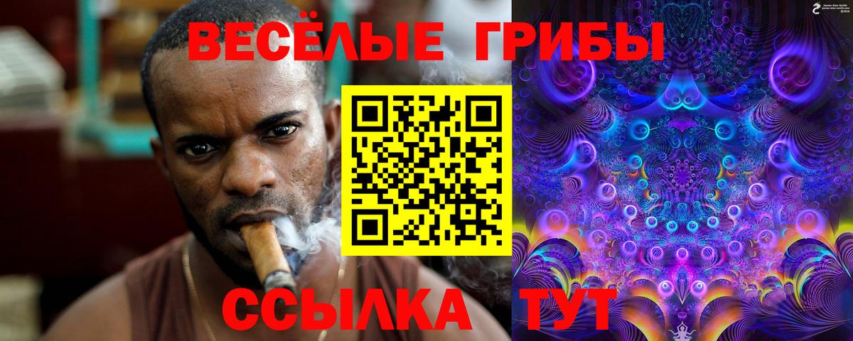 Псилоцибиновые грибы прущие грибы  Вход с VPN  Будённовск 