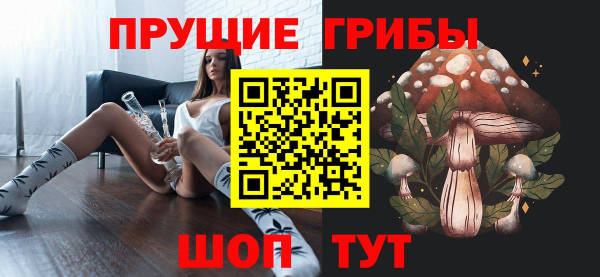 Псилоцибиновые грибы Cubensis Будённовск